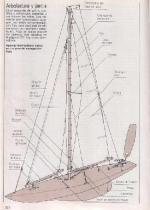 timon automatico.png