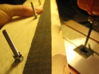 la belle 16 11 (28).JPG