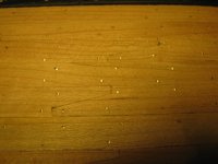 la belle 9-12 (6).JPG