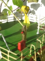 IMG_1108 [Resolucion de Escritorio].JPG