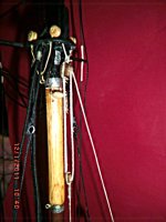 CIMG4277.JPG CIMG4277.JPG