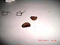 CIMG4308.JPG CIMG4308.JPG