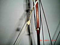 CIMG4327.JPG CIMG4327.JPG