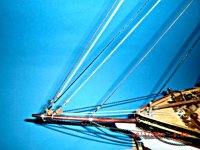 CIMG4331.JPG CIMG4331.JPG