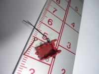 IMG_1026 Cancamo_1.JPG