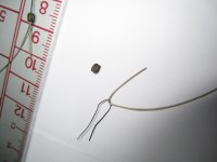 IMG_1027 ObuTolManiCarga01 20110316_1.jpg