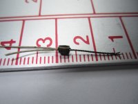 IMG_1018  ObuTolManiCarga05 20110316_1.jpg