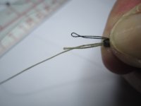 IMG_1031 ObuTolManiCarga06 20110316_1.jpg