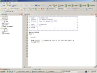 primeras instrucciones.JPG