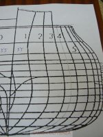 pelayo NP1000062%.JPG