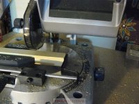 pelayo NP1000110%.JPG