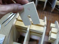 pelayo NP1000130%.JPG