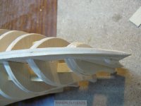 pelayo NP1000135%.JPG