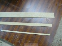 pelayo NP1000155%.JPG