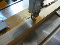 pelayo NP1000143%.JPG