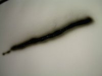 tn_demasiada pintura.JPG