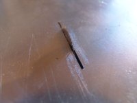 DSC08306 [800x600].JPG