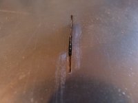 DSC08307 [800x600].JPG