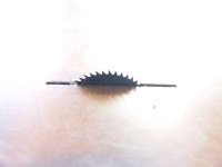 DSC08309 [800x600].JPG