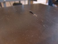 DSC08311 [800x600].JPG