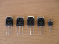 SAM_0583 [800x600].jpg