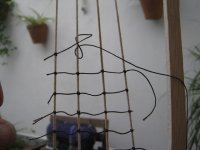 IMG_2774 [640x480].JPG