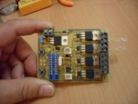 SAM_0681 [800x600].jpg