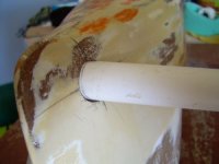 tn_DSCN5213 - copia.JPG