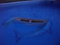 SAM_0744 [800x600].jpg