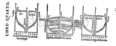 Figura19.jpg Figura19.jpg
