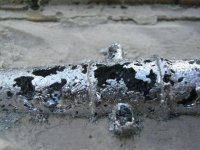 IMG_4099 [640x480].JPG