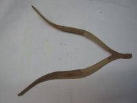 IMG_4140 [640x480].JPG