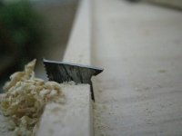 IMG_4184 [640x480].JPG