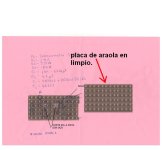 placa araola sin componentes.JPG