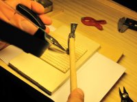 IMG_1297 [1024x768].JPG