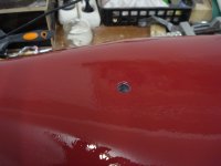 DSC05783 (800x600).jpg