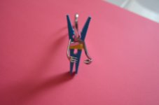 DSC_0001 [1280x768].JPG