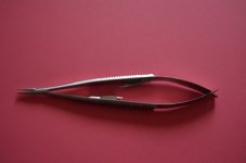 DSC_0003 [1280x768].JPG