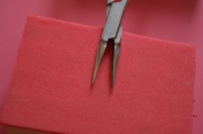 DSC_0012 [1280x768].JPG