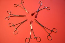 DSC_0022 [1280x768].JPG