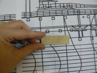 pelayo NP1000156%.JPG