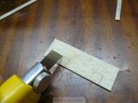 pelayo NP1000158%.JPG