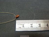 PelayoP1000282 [1024x768].JPG