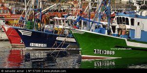 barcos-de-pesca-muelle-de-los-cristianos_57100.jpg