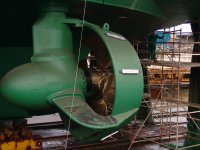 DSC04482 (Copiar).JPG