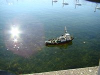 DSC05792 [800x600].jpg