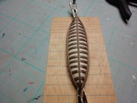 DSC03589 (Copiar).JPG