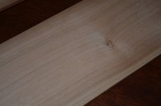 DSC_0791 (Copiar).JPG