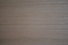 DSC_0795 (Copiar).JPG