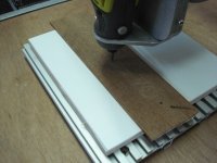 DSC03639 (Copiar).JPG